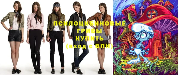 гидра Иноземцево