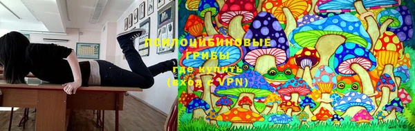 мдпв Заволжск