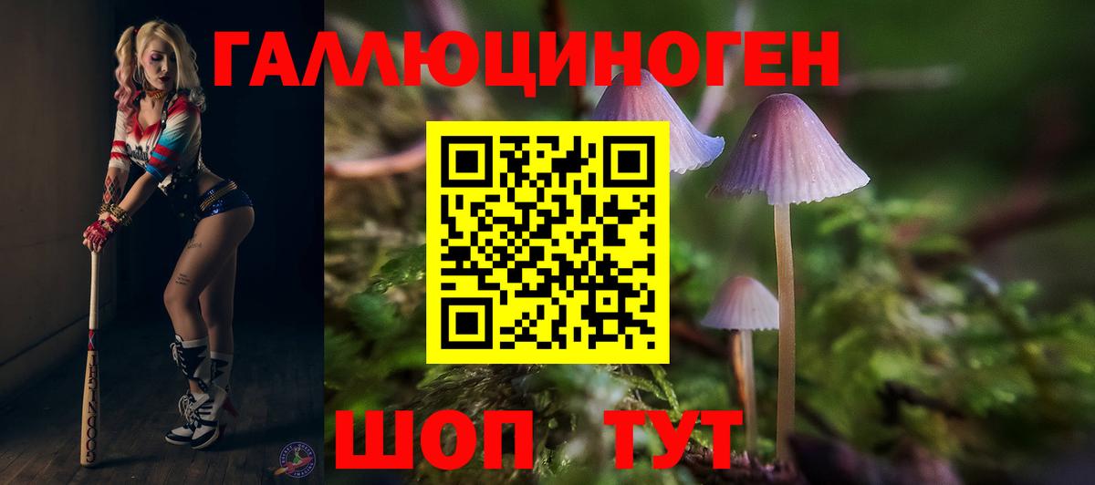 Галлюциногенные грибы Psilocybine cubensis Саянск